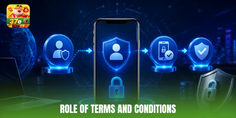 Role of terms and conditions